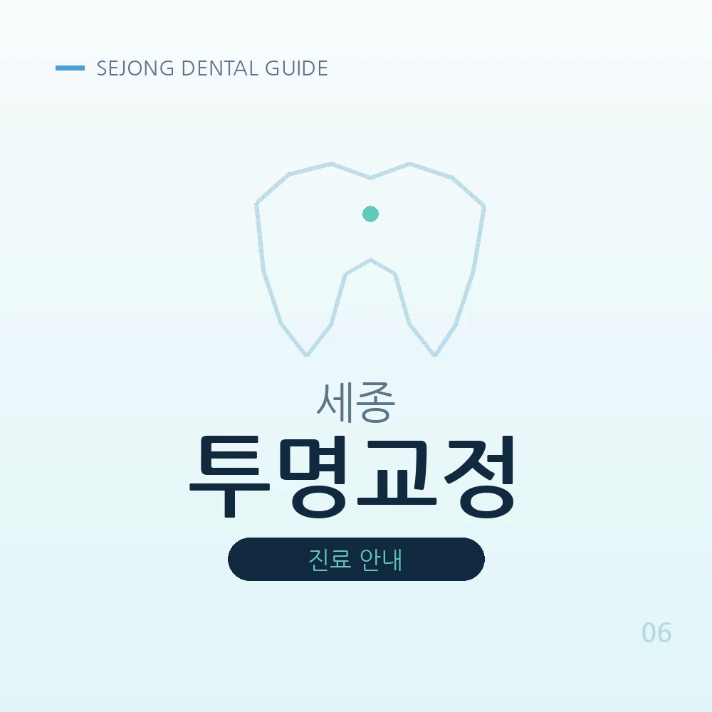 세종투명교정